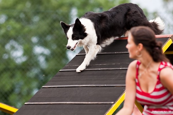 200907-agility-brezineves-3556