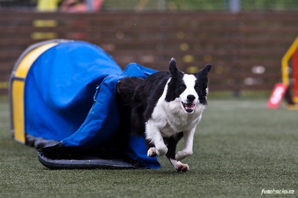 200907-agility-brezineves-3556