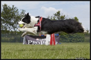TSN2010_161