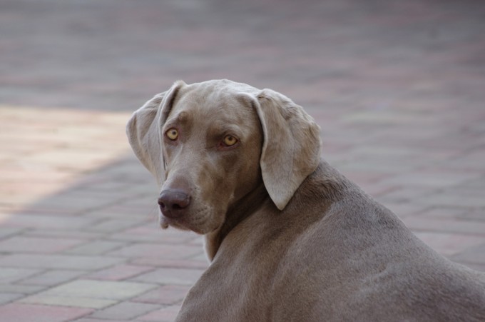 IMGP0325