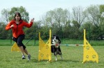 DSC04437