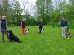 DSC00557